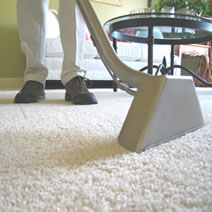 Carpets & Floors