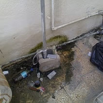 Sewage Leaks